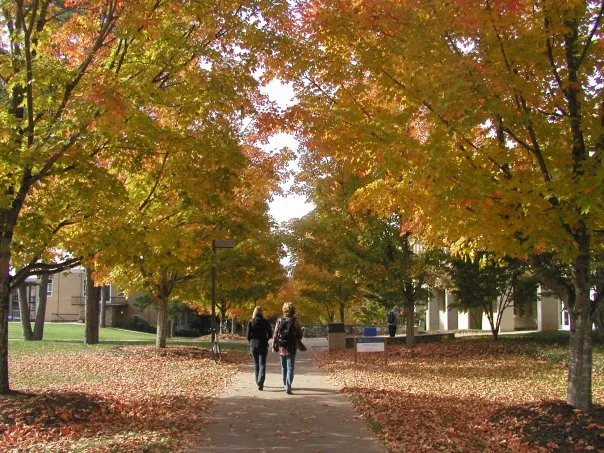 Fall Colors 2009
